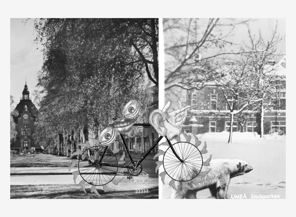 Collage. a bicyckle riding from one somer image of Umeå town hall to a winter image of Umeå Town hall.